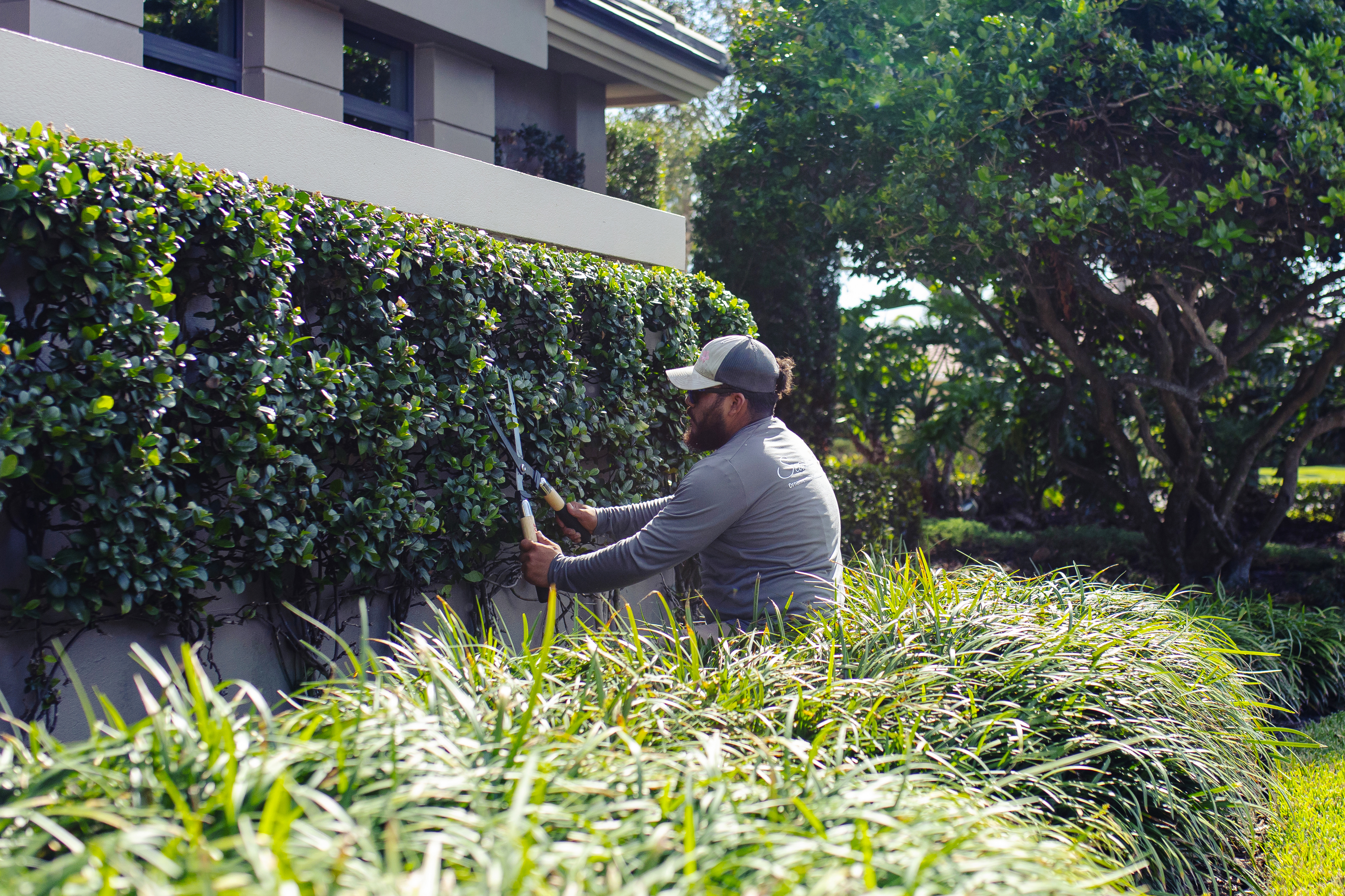 Trimming Crop